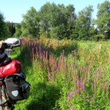 1908F 039 Schleswig Holstein